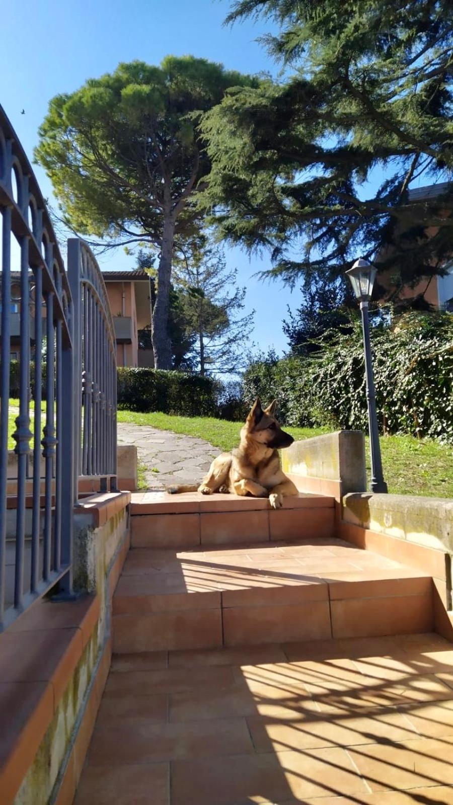 Appartamenti Pesaro Mare Ledimar ภายนอก รูปภาพ